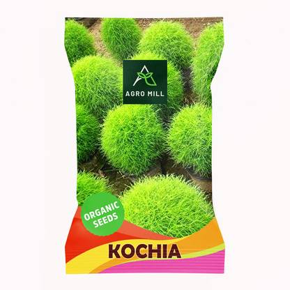 AGRO MILL KOCHIA/BURNING BUSH/SUMMER CYPRESS PREMIUM QUALITY Seed