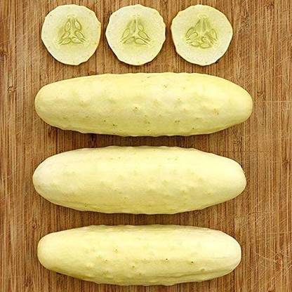VibeX ® XXL-621 Silver Slicer Cucumber Seeds Seed