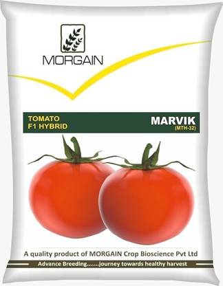Morgain Tomato Vegetable Hybrid Seeds, Marvik (MTH-32), 10gm pkg for Home Gardening Seed