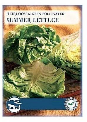 Biosnyg Bibb Lettuce-[1000 Seeds] Seed