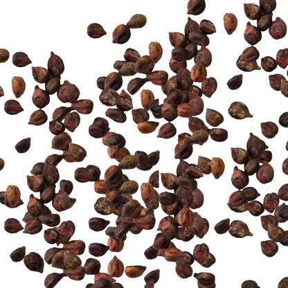 KNESSiN Orchard - Grape Seed