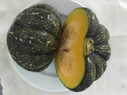ErTh Organic Pumpkin - high quality Seed