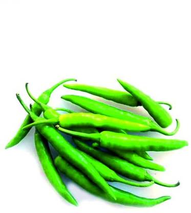 granthi Organic Green Chilly (Hari Mirch / Lila Marcha) Seed