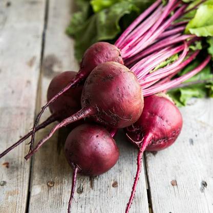CEZIUS Fresh Healthy Seeds High Quality Red Beauty Beetroot-a21V Seed
