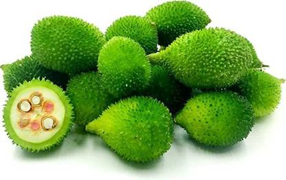 Kalagia group KALAGIA GROUP KANTOLA.BAD KARELA SEEDS 50 Seed