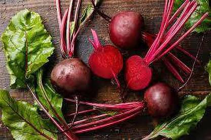 nizox CHUKANDER BEETROOT Seed