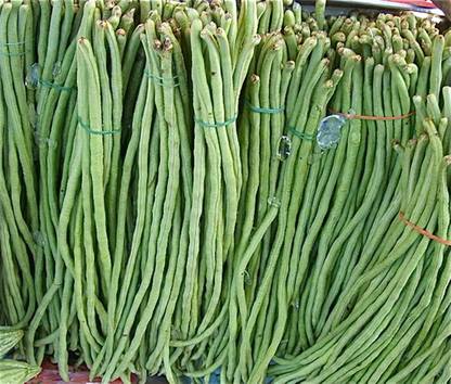 CHILLATAI Long Variety Karamani Seeds | Long Variety Thatta Payaru Seed