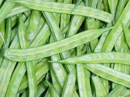 WATIKA Cluster Beans (गवारफली) Seed