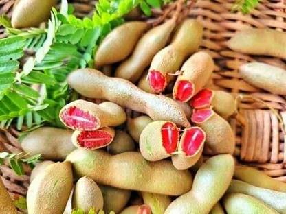 Aywal Fresh Thai Tamarind Fruit Seed