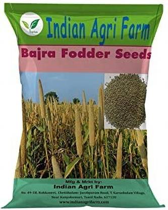 IAgriFarm Bajra Fodder Seeds - 1 Kg - Multi Cut for Fodder Cultivation Seed