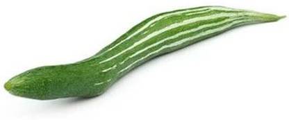 Aywal High Yield Rare Hybrid" Snake Gourd" Chachinda Pudalangai Vegetable Seed