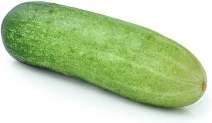 CYBEXIS KGF -54 - Calypso Cucumber - (150 Seeds) Seed