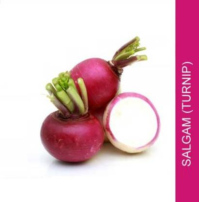 MYLAWN Turnip shalgam Seed