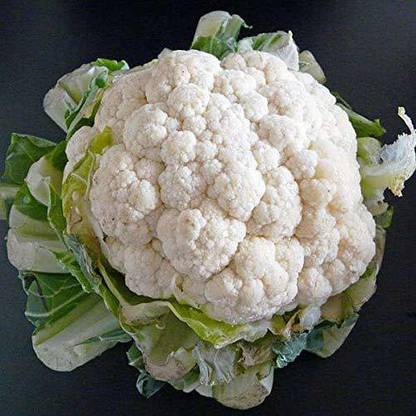 CYBEXIS NBIR-25 - F1 HYBRID CAULIFLOWER - (450 Seeds) Seed
