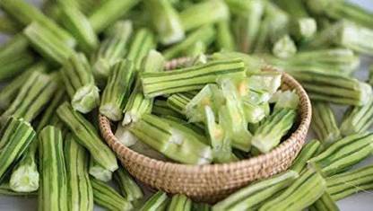 VibeX VVI-4 - Moringa Drumstick Horseradish Tree - (450 Seeds) Seed