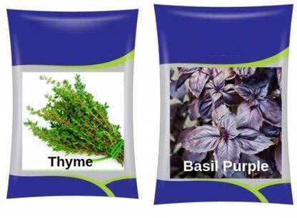 CYBEXIS Thyme & Basil Purple Herb Combo Seed