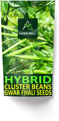 AGRO MILL HYBRID F1 PREMIUM QUALITY CLUSTER BEAN/GUAR/GAWAR FHALI FOR HOME KITCHEN GARDEN Seed