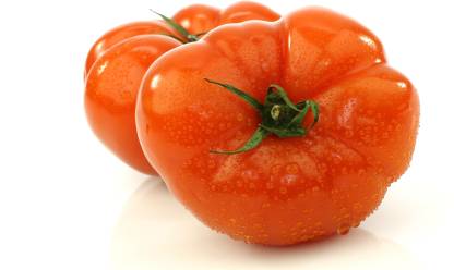 VRAKSHA BEEFMASTER TOMATO Seed