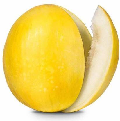 VibeX VXI-2 - Yellow Muskmelon Kharbuja - (1350 Seeds) Seed