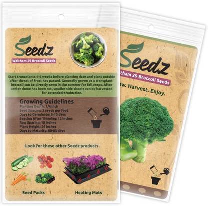 WILLVINE ATS-273 Broccoli Seeds Heirloom Waltham 29 Seed