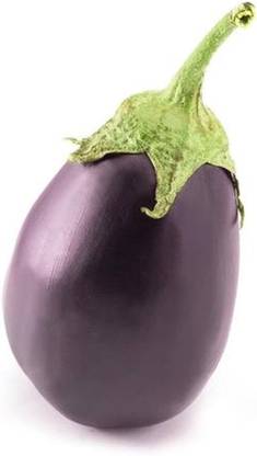 BDSresolve brinjal seeds/brinjal seed 91 Seed