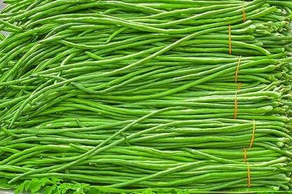 Gachwala Gachwala Yardlong Bean Seeds, Asparagus Bean, Legume Plant Seed