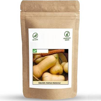 Biosnyg Waltham Butternut Squash Seed