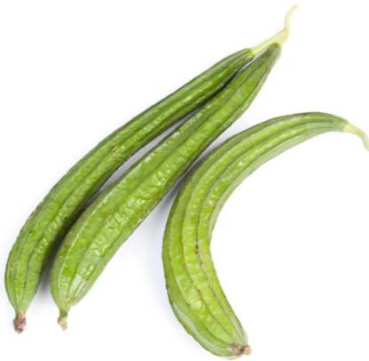 DHENU PRASAD 1970 F1 Hybrid Ridge gourd (turai) Seed