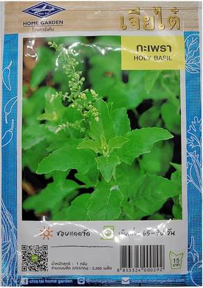 VibeX ® XXL-10 Thai Holy Basil Seeds Seed
