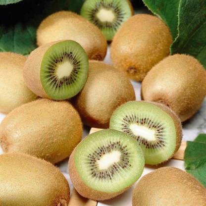 SBGARDEN kiwi seeds/kiwi seed 13 Seed