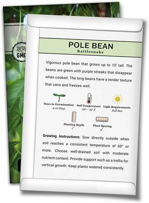WILLVINE ® Rattlesnake Pole Bean Seeds Seed