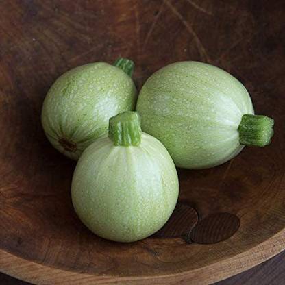 WILLVINE NBIR-282 Zucchini Round Cue Ball Seed
