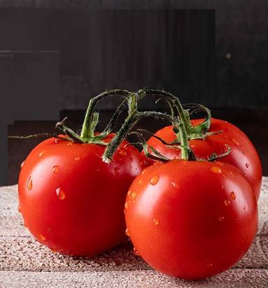 Biosnyg Tomato Ace 55 VF -[250 Seeds] Seed