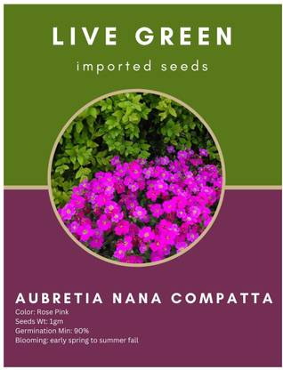 Udanta Live Green Imported Seeds - Aubretia Nana Compatta Pink Flower Seed - Qty of 1gm Seed