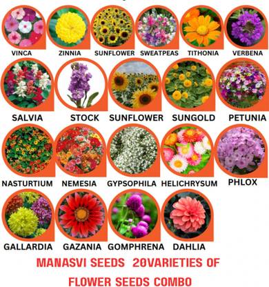 manasviseeds Combo of 20 Variety 1000+ Flower Seeds Combo Pack Seed