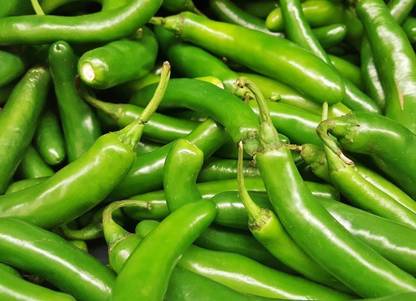 granthi Green Chilli(Hari Mirch) / हरी मिर्च Seed