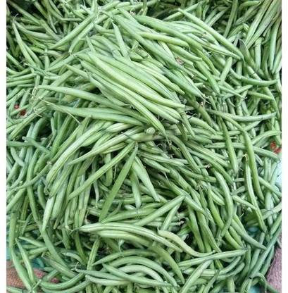 Aywal Green French Bean Seed
