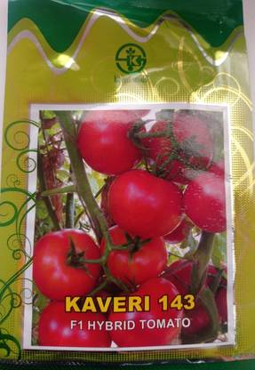 kaveri seeds pvt ltd Tomato Seed
