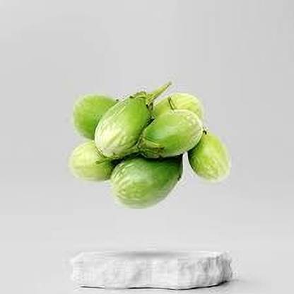 Mozette Organic Brinjal green round Seed