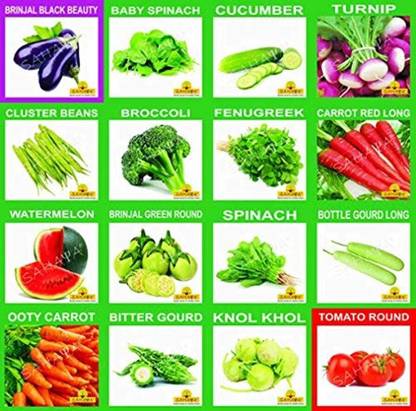 Vegitable 2023