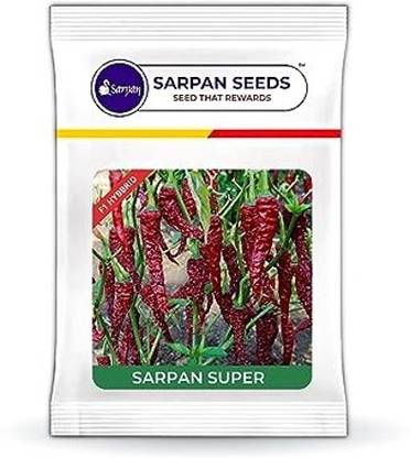 SARPAN SEEDS Sarpan Super Chilli, Dabbi byadagi, Kashmiri Red mirchi, vegetable seeds (10) Seed