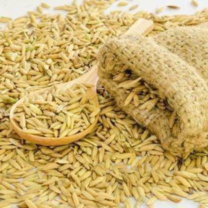 naturehils Rice Paddy Seeds, Miniket Paddy For Puja, Germination Paddy Seed