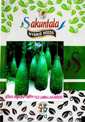 WILLVINE Bottle Gourd Seeds Desi Loki Green Lauki-(50 Gms, 250 Seeds) Seed