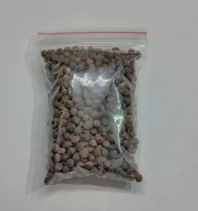 MAA Malabar Spinach, Malabar Seed