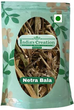 Indias Creation Netrabala, Netra Bala, Pavonia odorata, Hrivera, Balaka Seed
