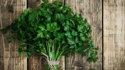 XOLDA Organic Parsley Seed
