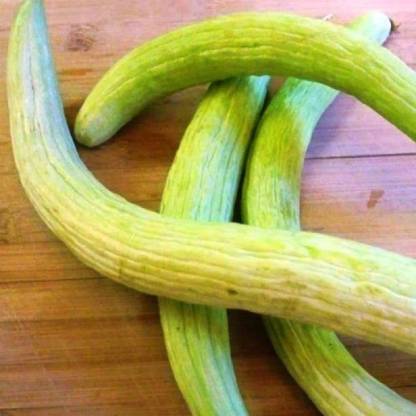 VibeX Long Melon Seed