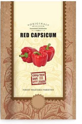 CYBEXIS TLX-24 - Capsicum Red Colour - (150 Seeds) Seed