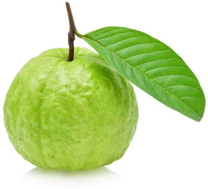 FRESHO Guava Fruit Seed