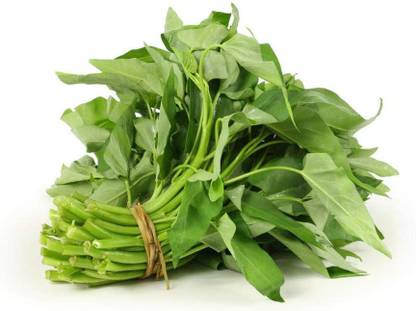 CYBEXIS PUAS-77 - Water Spinach Kangkong - (750 Seeds) Seed